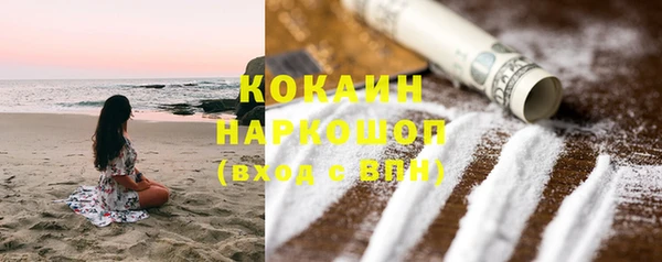 крисы Александровское