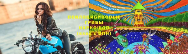 крисы Александровское